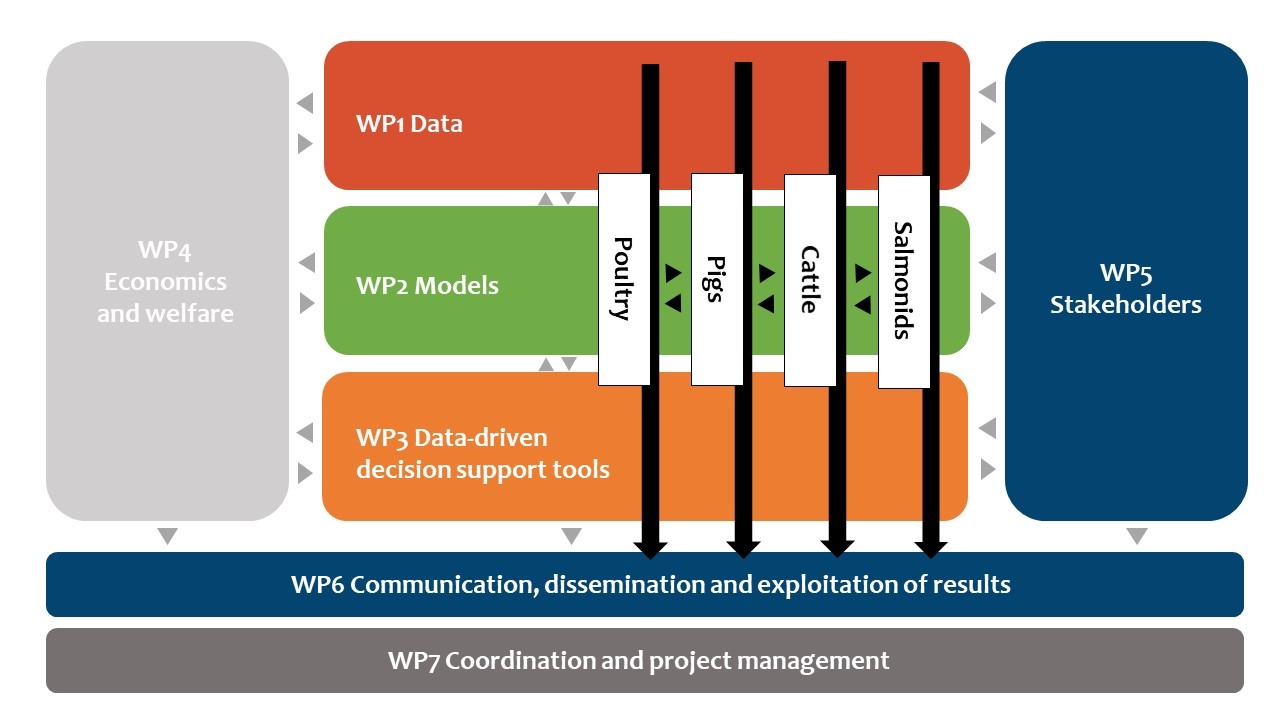 DECIDE_Workplan